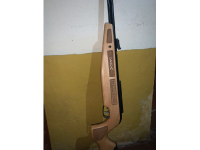 Gamo