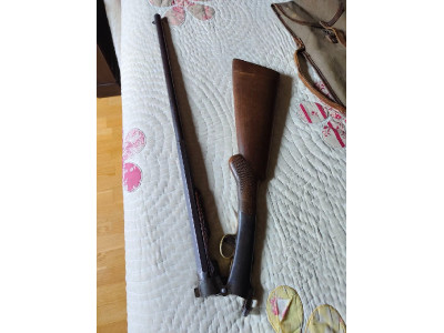 Monotiro calibre 20