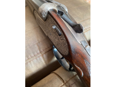 Paralela Aya 53