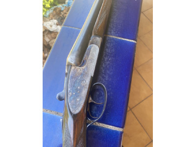 Paralela Águila