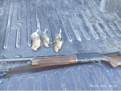 Escopeta Repetidora Beretta A301