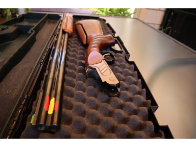 Rizzini Vertex 