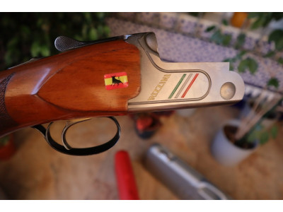 Rizzini Vertex 