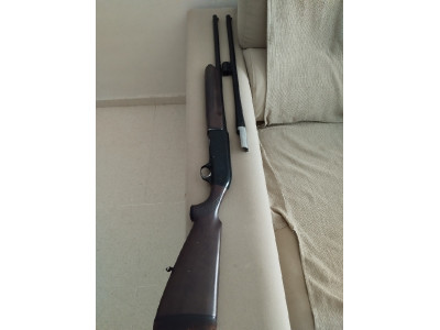 Beretta A 301
