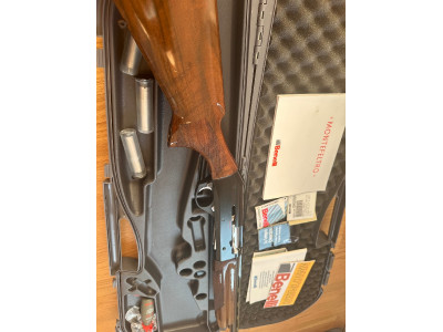  Benelli centro crío