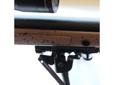 Bergara B14 HMR + Visor Vortex Golden Eagle