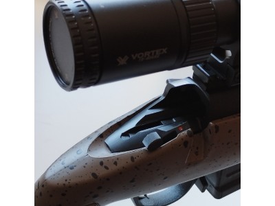 Bergara B14 HMR + Visor Vortex Golden Eagle