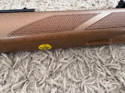 Gamo Hunter Maxxim IGT 5,5