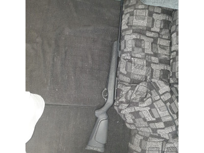 Gamo Shadow