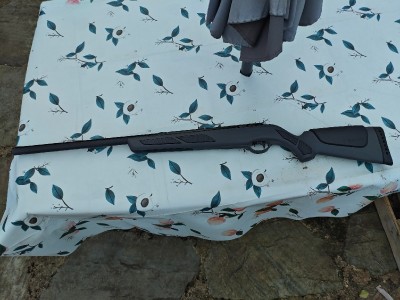 Gamo Viper Express 5.5