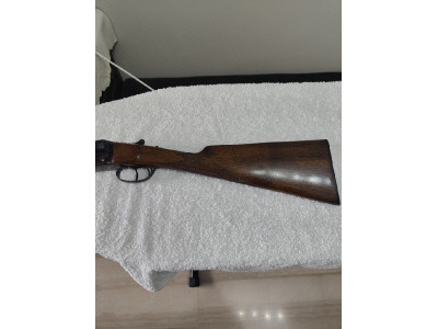 Ugartechea Impoluta Paralela