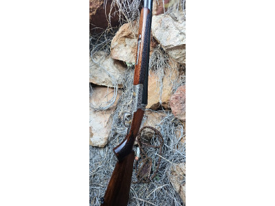 KRICO CALIBRE 28 REESTRENO