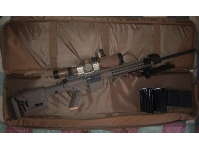 Luvo Arms LA-110 SASS