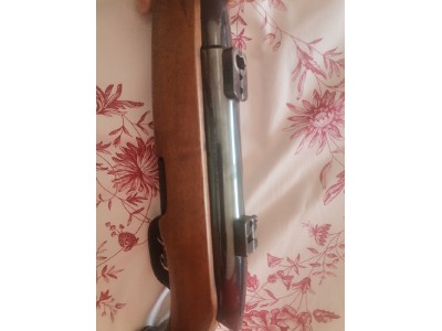 Mannlicher 300 Win Mag