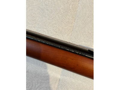 Marlin 60 Calibre 22