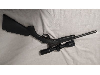 Monotiro 308 con visor
