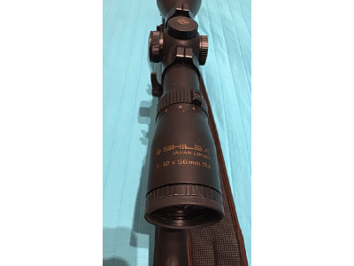 Bergara
