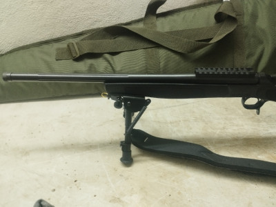 Bergara B13