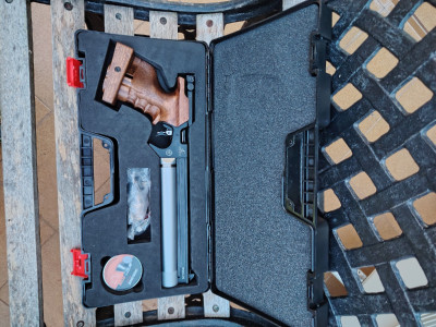 Pistola arcea rival 25