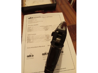 Pistola C-15 Blowback