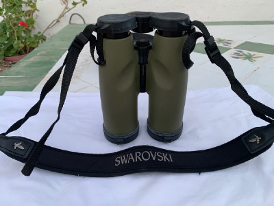 Swarovski 8x50 Slc