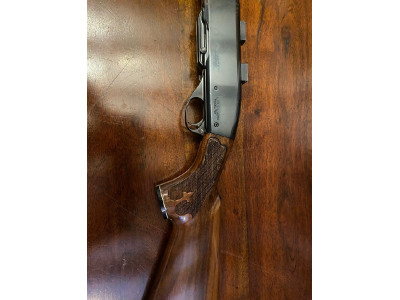 Regminton Woodmaster Modelo 742