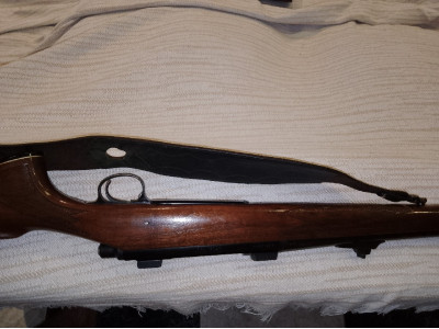 Remington 700 , 300wm