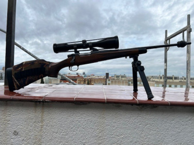 REMINGTON SEVEL CDL