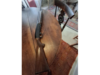 Benelli Montefeltro