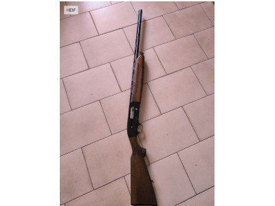 Beretta 302