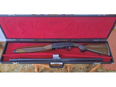 Beretta A301