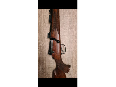 Mauser 66SM