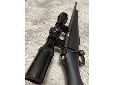 CZ 455 17 HMR