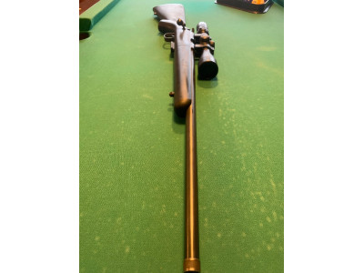 17 hmr Cz 455