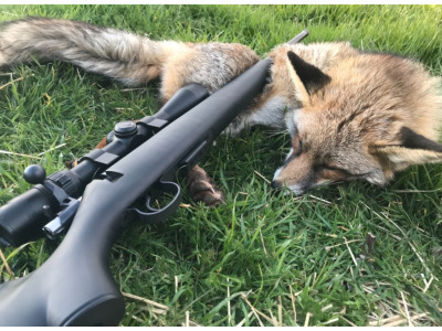17 hmr Cz 455