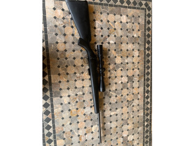 17 hmr Cz 455