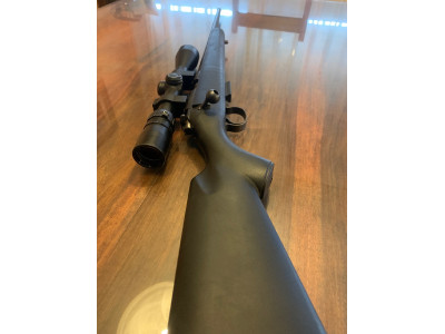 17 hmr Cz 455