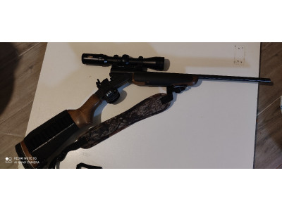 Rifle Amadeo Rossi 308