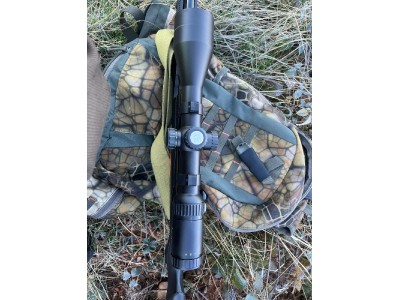 Rifle express Benelli Lupo + Visor Dall's Sheep