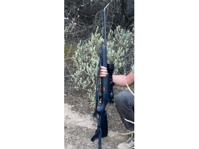 Rifle Beretta Brx1 308Win