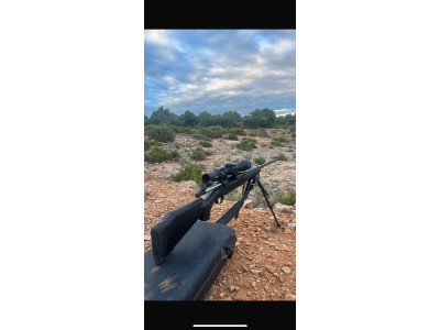 Bergara b14 sporter con visor