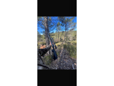 Rifle bergara b14 sporter y visor meopta 3x18x50