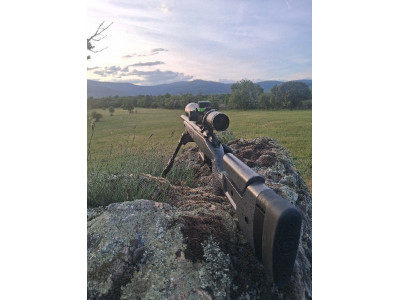 Rifle Bergara B14 Trainer Acero