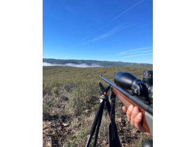 Blaser R8 