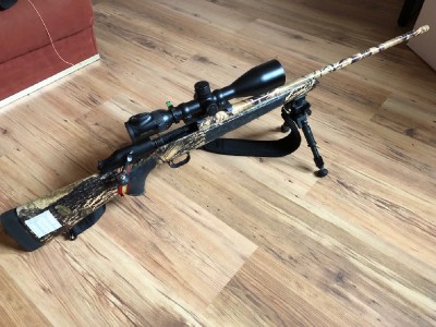 Blaser R93