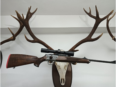 Rifle Blaser R93 Luxus España