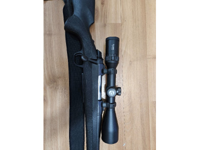 Browning 3006
