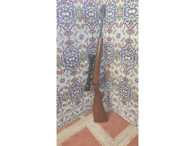 Cz 455