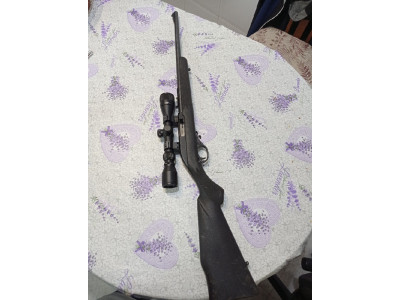 Marlin 22 LR