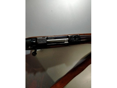 Ceska 550 Magnum